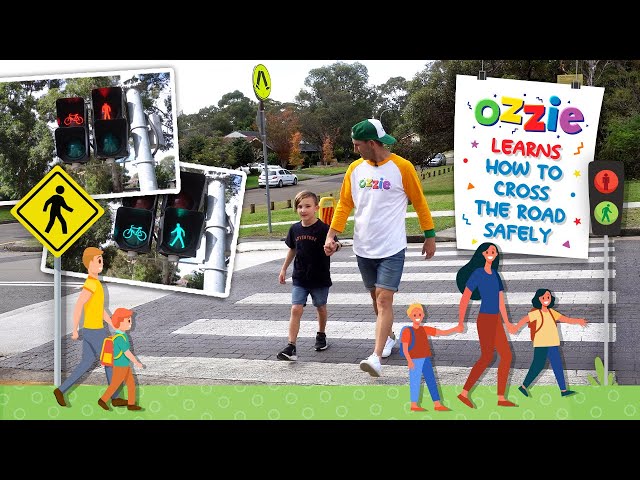 How To Cross The Road Safely With Ozzie